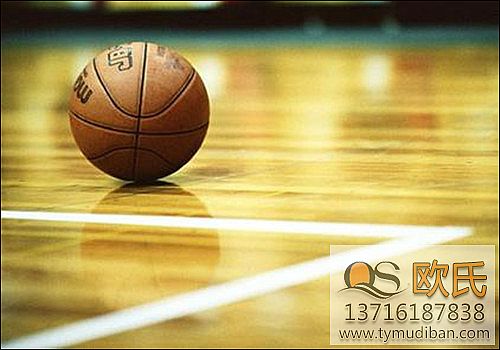 體育地板 體育地板