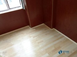 ��ľ�w���@��ذ屣�B֪�R