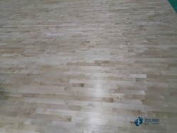 ��ľ�w�����^ľ�ذ屣�B(y��ng)