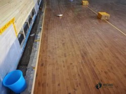 ���Ռ������_�\����ľ�ذ��^�õ�