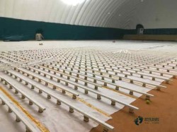 ���ƻ@���^�ذ�Ʒ�ƴ�ȫ