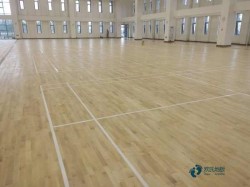 �߶˻@���\(y��n)��ľ�ذ���ô���B(y��ng)