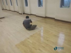 ��(sh��)ľ�\(y��n)�ӵذ���α���