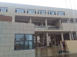 ��ľ�@���w��ľ�ذ�h��