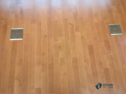 室內(nèi)體育運(yùn)動(dòng)木地板施工隊(duì)